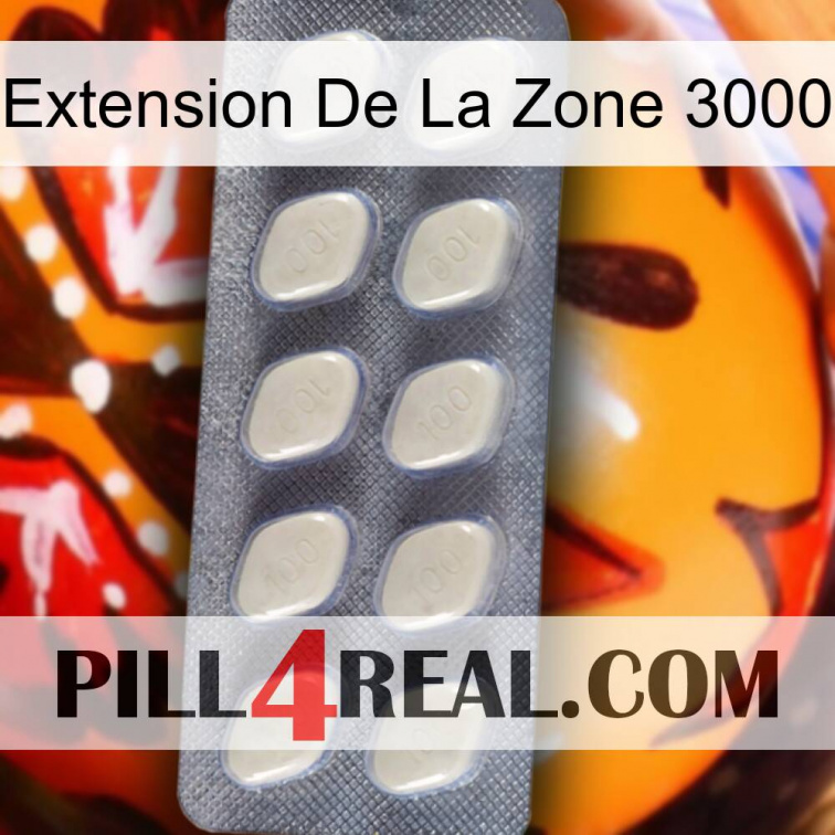 Exten Zone 3000 08